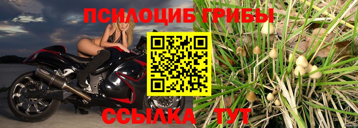 Галлюциногенные грибы мицелий Лесосибирск