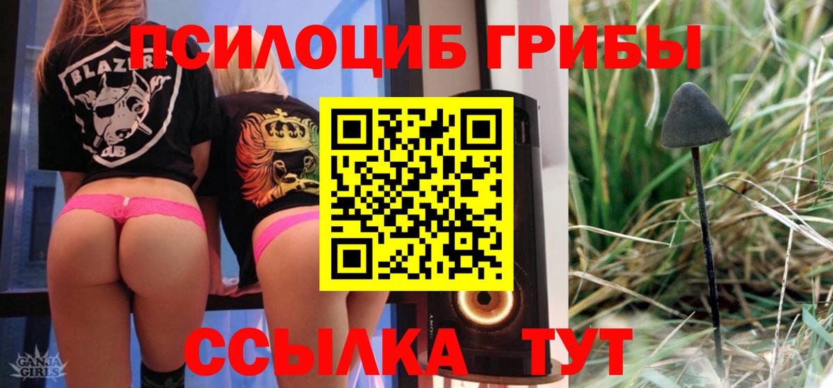 Лесосибирск  Псилоцибиновые грибы Magic Shrooms  где продают   Вход с VPN 